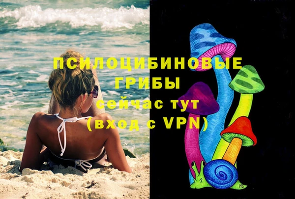 тгк Горняк