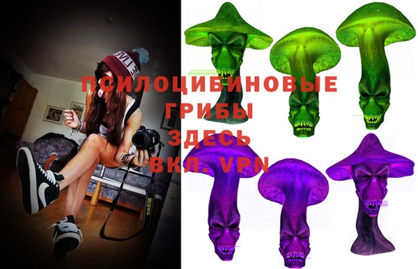 тгк Горняк