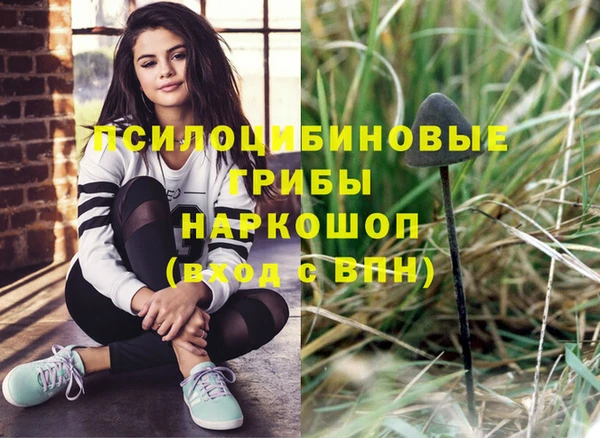прущие крисы Горнозаводск