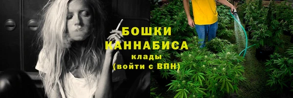тгк Горняк